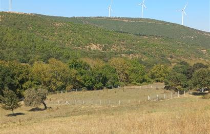 C.21LOCA'DAN KARESİ YENİKÖYDE SATILIK 4208 M2 MÜKEMMEL TARLA