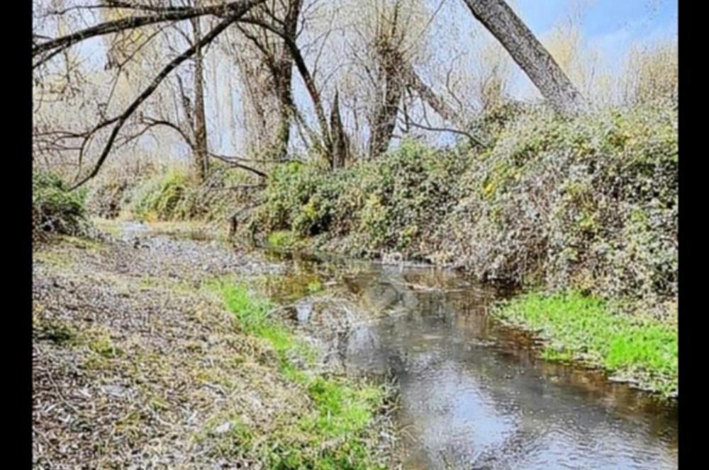 1200272081 Tek Tapu Güdül Güneyce Mahallesin'de Satılık Arsa