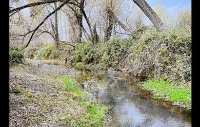 1200272081 Tek Tapu Güdül Güneyce Mahallesin'de Satılık Arsa