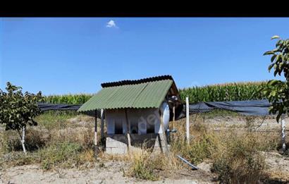 Müstakil Tapu Güdül Güneyce Mahallesin'de Satılık Bahçe