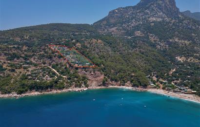 Fethiye Kabak Koyu Turizm Lisanslı 10 Dönüm Arazi