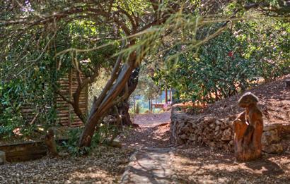 Fethiye Kabak Koyu Turizm Lisanslı 10 Dönüm Arazi