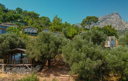 Fethiye Kabak Koyu Turizm Lisanslı 10 Dönüm Arazi