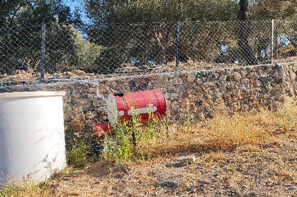 Balıkesir Havran Küçükdere Köyünde Deniz ve Edremit Körfezi Manzaralı Zeytinlik 