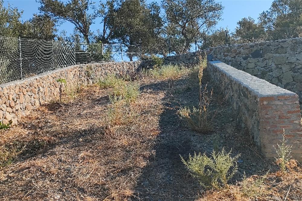 Balıkesir Havran Küçükdere Köyünde Deniz ve Edremit Körfezi Manzaralı Zeytinlik 