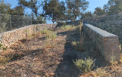 Balıkesir Havran Küçükdere Köyünde Deniz ve Edremit Körfezi Manzaralı Zeytinlik 