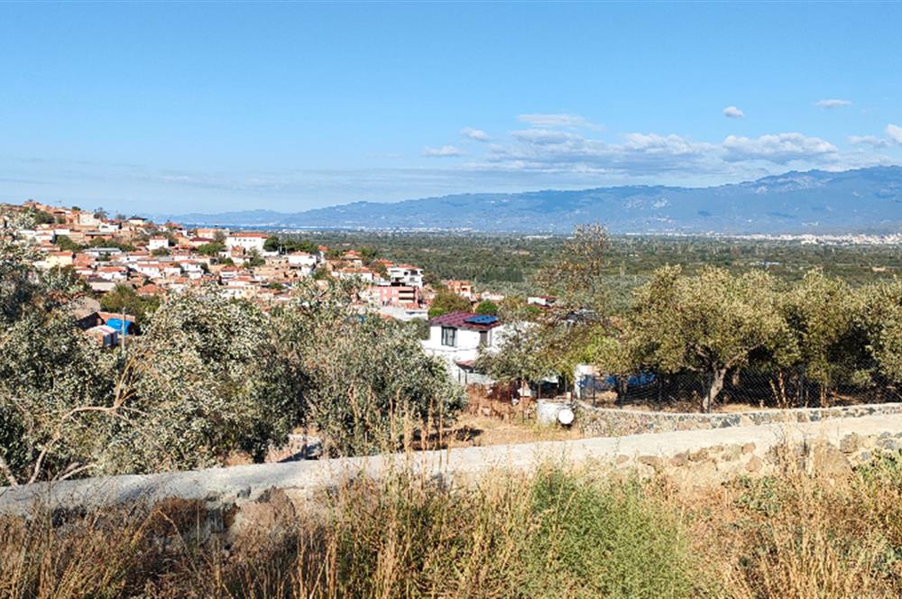 Balıkesir Havran Küçükdere Köyünde Deniz ve Edremit Körfezi Manzaralı Zeytinlik 