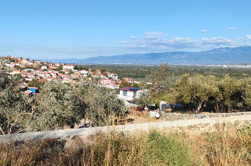 Balıkesir Havran Küçükdere Köyünde Deniz ve Edremit Körfezi Manzaralı Zeytinlik 