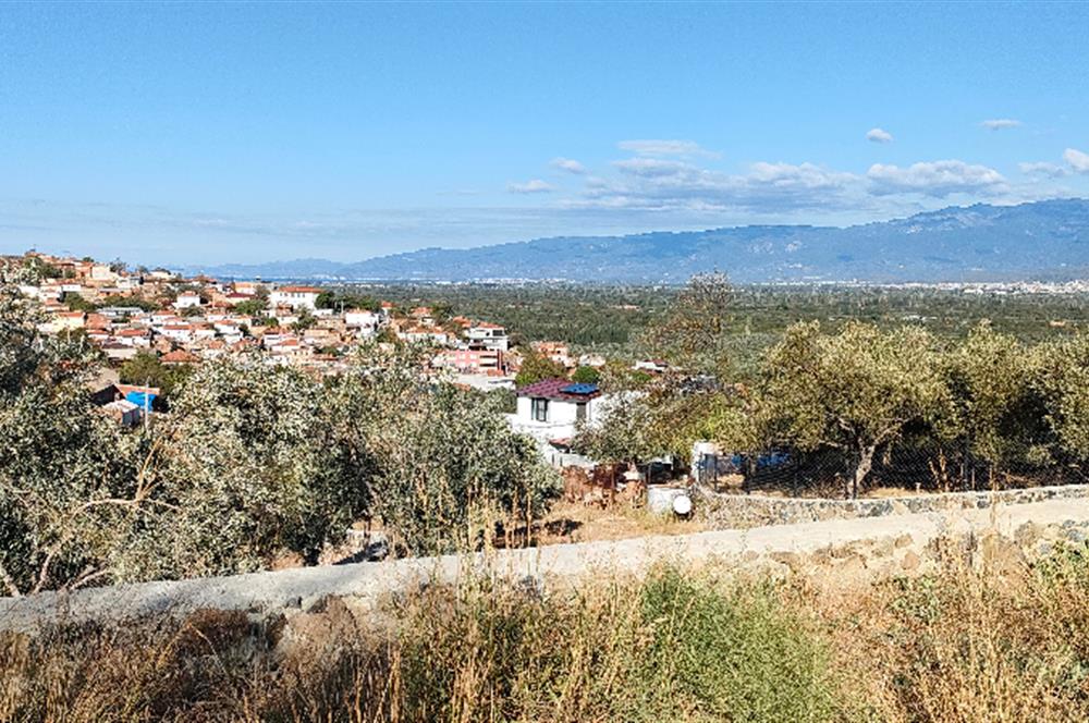 Balıkesir Havran Küçükdere Köyünde Deniz ve Edremit Körfezi Manzaralı Zeytinlik 