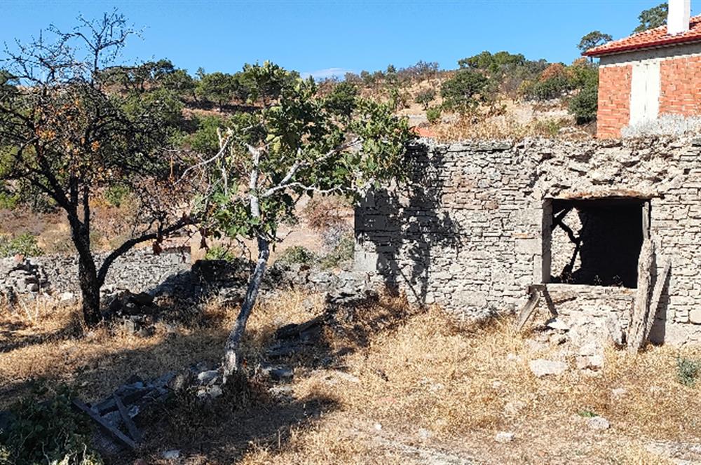 Balıkesir Gömeç Kumgedik köyünde Taş ev ve Müştemilatı 