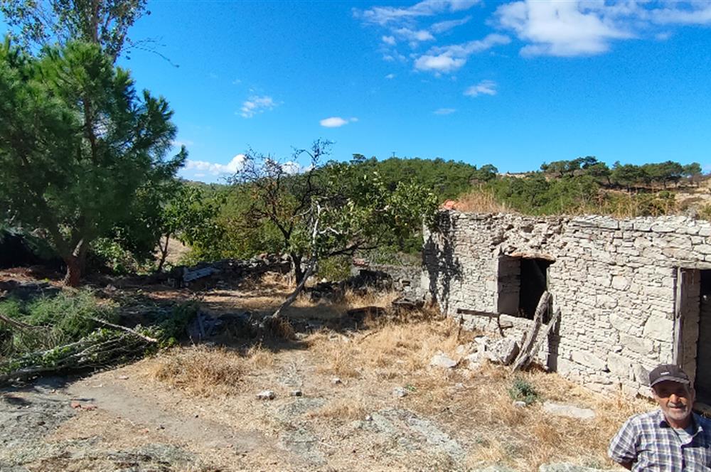 Balıkesir Gömeç Kumgedik köyünde Taş ev ve Müştemilatı 