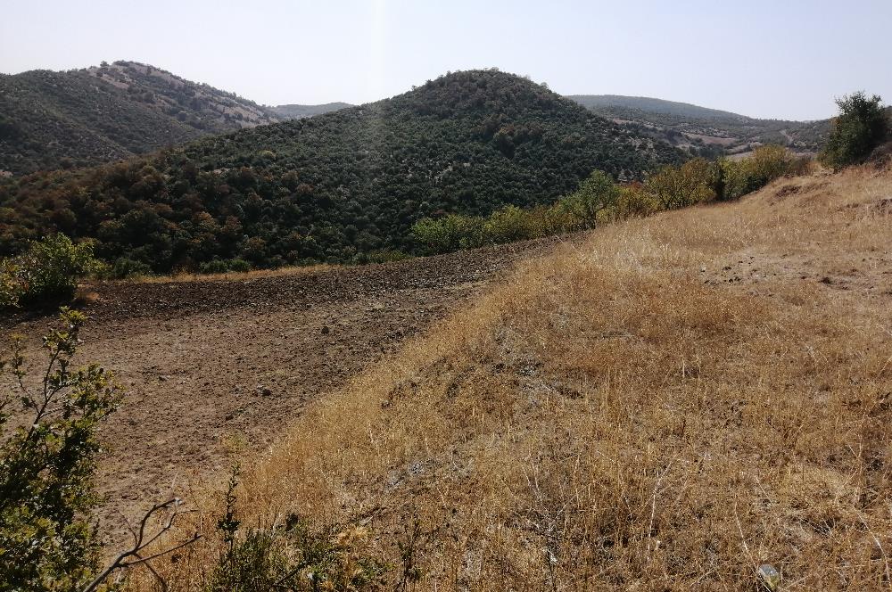 C21 LOCA'DAN BALIKESİR BAYAT MAHALLESİNDE 8550 M2 SATILIK TARLA