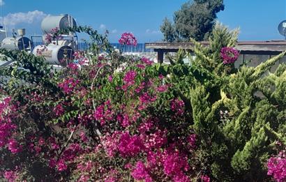 Bodrum Turgutreis Satılık Bahçe Katı Daire