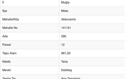 Muğla Milas Akkovanlık Bölgesinde 960 m² Satılık Tarla