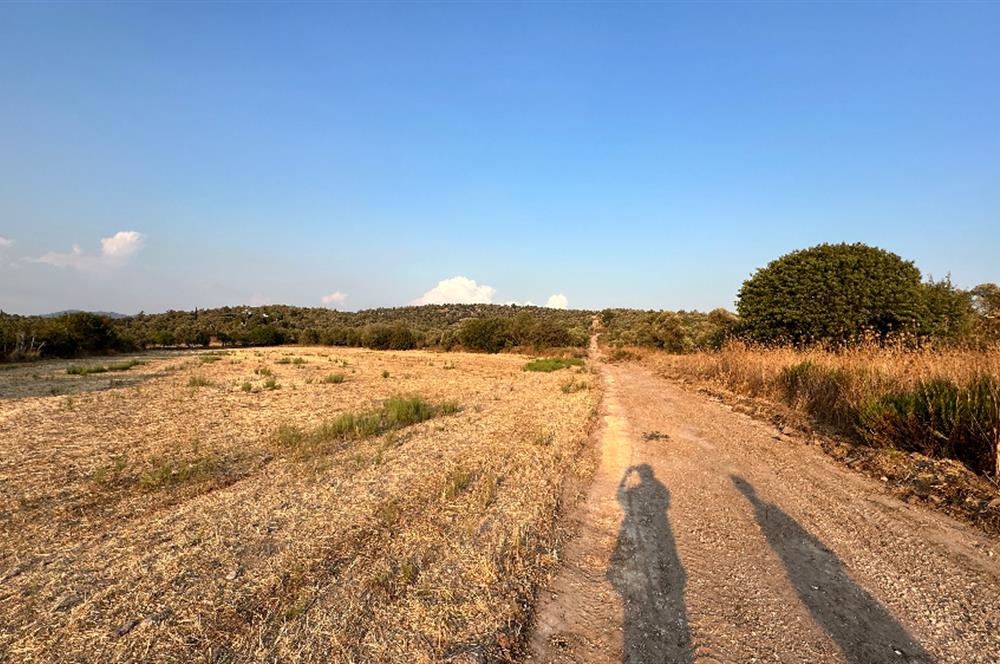 Bodrum Mumcular Tepecik Karaova'da 13.330 m² Satılık Tarla