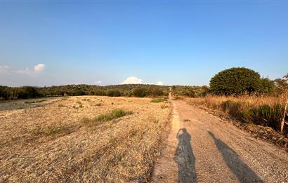 Bodrum Mumcular Tepecik Karaova'da 13.330 m² Satılık Tarla