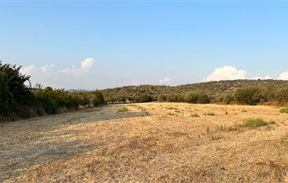 Bodrum Mumcular Tepecik Karaova'da 13.330 m² Satılık Tarla