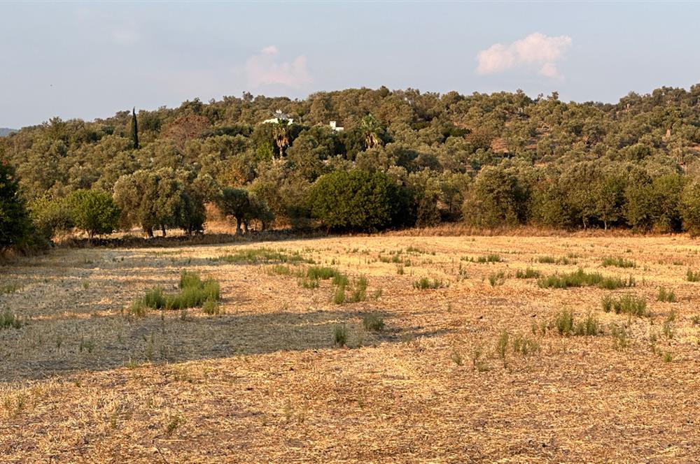 Bodrum Mumcular Tepecik Karaova'da 13.330 m² Satılık Tarla