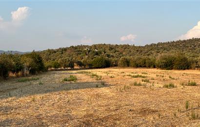 Bodrum Mumcular Tepecik Karaova'da 13.330 m² Satılık Tarla