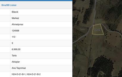 Bilecik Merkez Ahmetpınar Köyü Satılık Tarla 