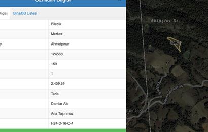 Bilecik Merkez Ahmetpınar Satılık Tarla 
