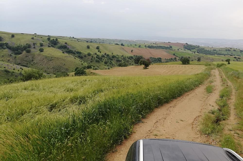 AKYURT KARACALAR'DA SATILIK TARLA