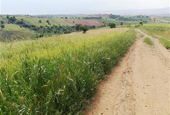 AKYURT KARACALAR'DA SATILIK TARLA