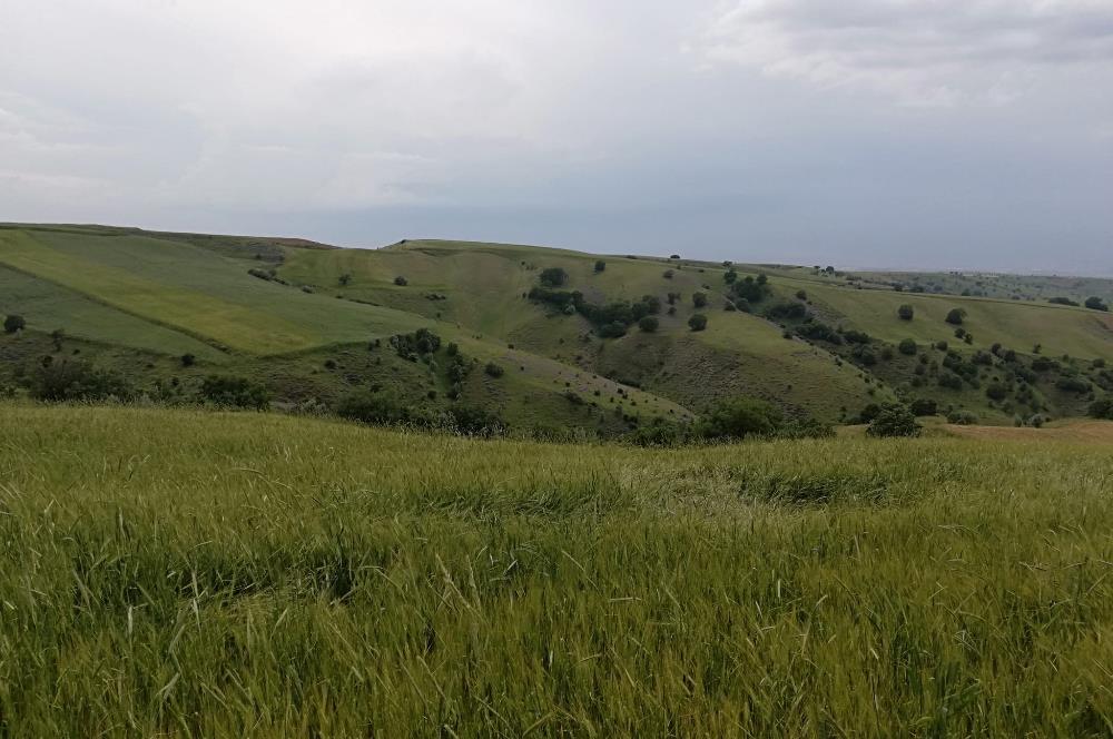 AKYURT KARACALAR'DA SATILIK TARLA