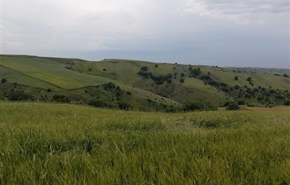 AKYURT KARACALAR'DA SATILIK TARLA