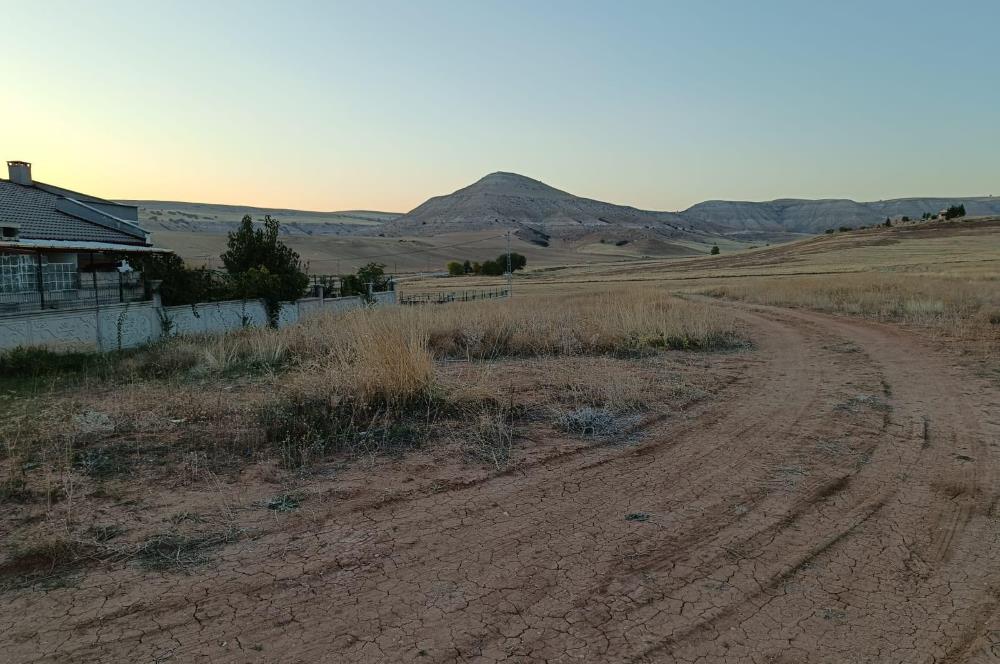 KAYSERİ FELAHİYEDE BARAJA 1 KM MESAFEDE TEMİZ VİLLA PARSELLERİ