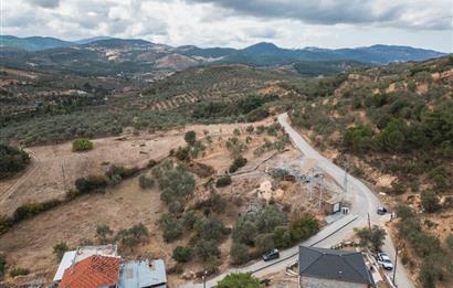 C21 LOCADAN HAVRAN DEREÖREN MAH.DE SATILIK MÜKEMMEL TAŞ VİLLA