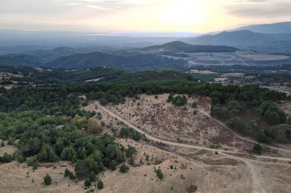 C21 BAL'DAN HAVRAN FAZLICA'DA KAZDAĞLARI-DENİZ MANZARLI ARAZİ