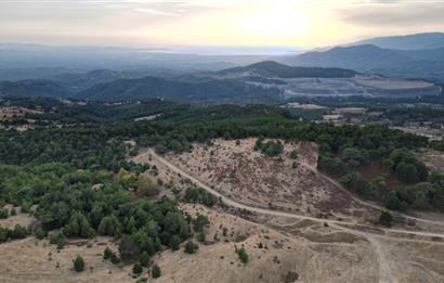 C21 BAL'DAN HAVRAN FAZLICA'DA KAZDAĞLARI-DENİZ MANZARLI ARAZİ