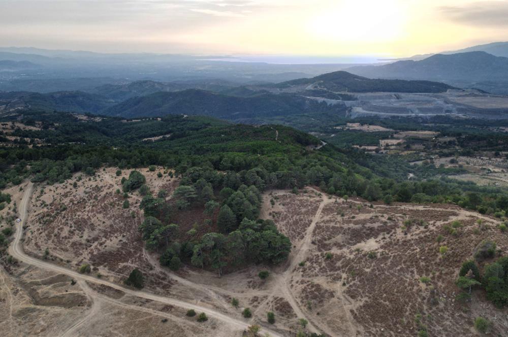 C21 BAL'DAN HAVRAN FAZLICA'DA KAZDAĞLARI-DENİZ MANZARLI ARAZİ