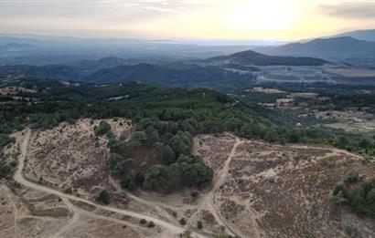 C21 BAL'DAN HAVRAN FAZLICA'DA KAZDAĞLARI-DENİZ MANZARLI ARAZİ