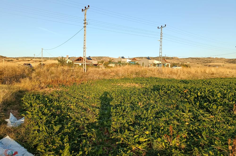 KAYSERİ FELAHİYEDE BARAJ MANZARALI TEMİZ 2 ADET ARSA