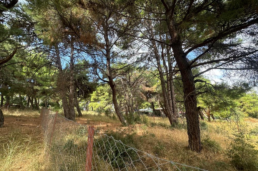 ÇANAKKALE MERKEZ YAPILDAK KÖYÜNDE SATILIK HİSSE