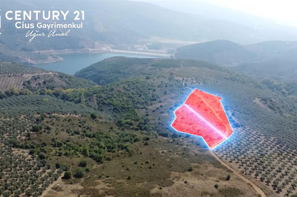 C21Cius; Büyükkumla'da Deniz Manzaralı 27.123 M2 Satılık Tarla