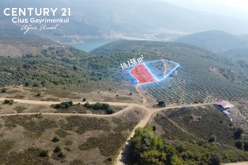 C21Cius; Büyükkumla'da Deniz Manzaralı 27.123 M2 Satılık Tarla