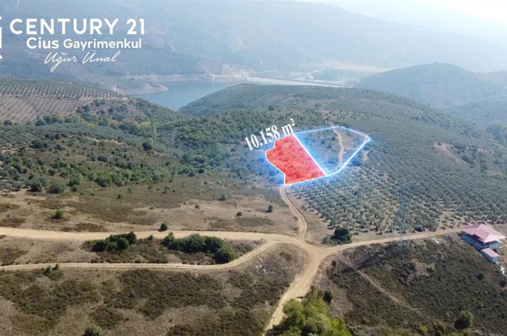 C21Cius; Büyükkumla'da Deniz Manzaralı 27.123 M2 Satılık Tarla