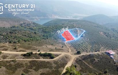 C21Cius; Büyükkumla'da Deniz Manzaralı 27.123 M2 Satılık Tarla