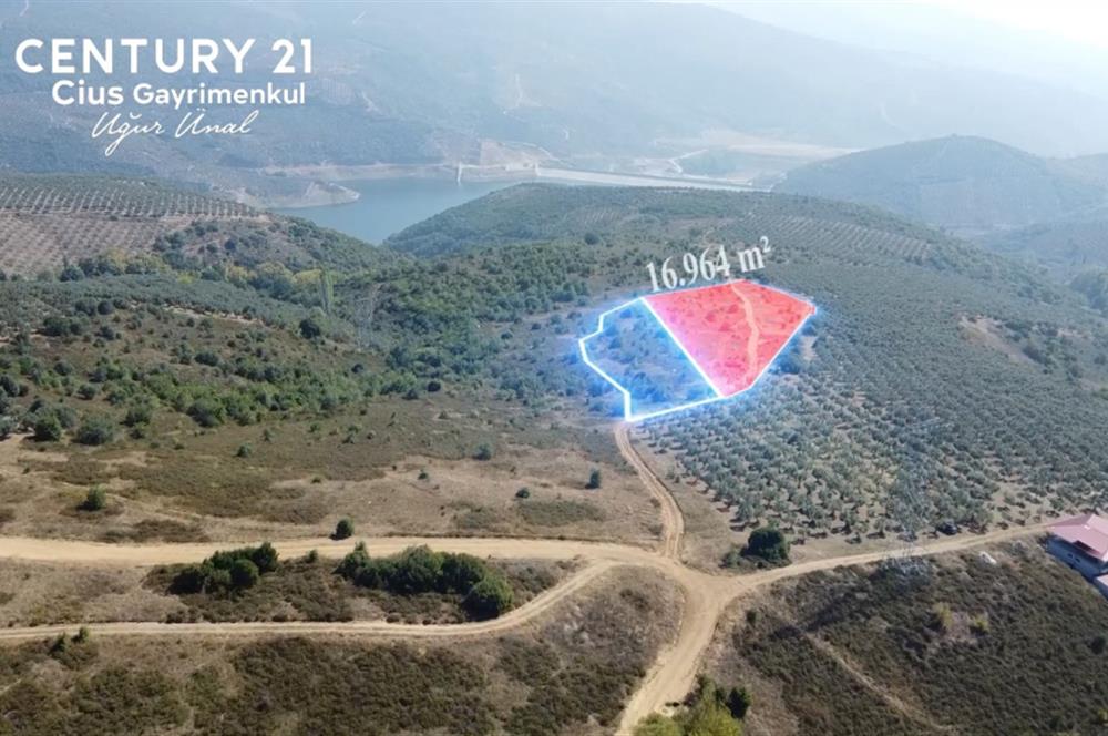 C21Cius; Büyükkumla'da Deniz Manzaralı 27.123 M2 Satılık Tarla