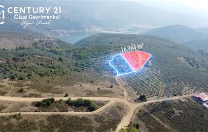 C21Cius; Büyükkumla'da Deniz Manzaralı 27.123 M2 Satılık Tarla