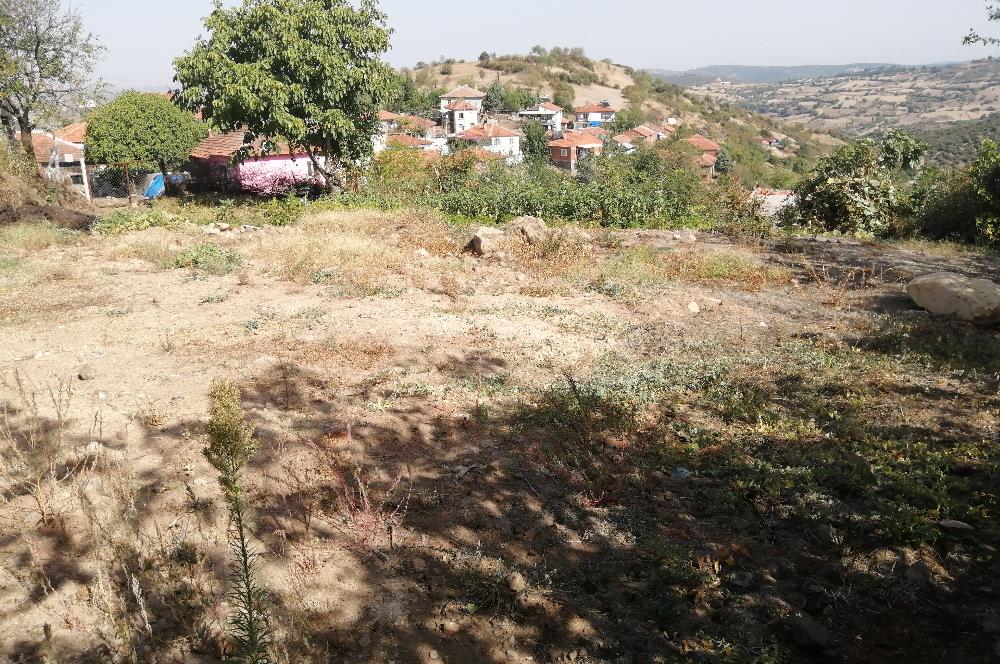 C21 LOCA'DAN BALIKESİR BAYAT MAHALLESİNDE 739 M2 SATILIK BAHÇE