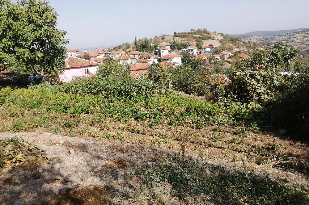 C21 LOCA'DAN BALIKESİR BAYAT MAHALLESİNDE 739 M2 SATILIK BAHÇE