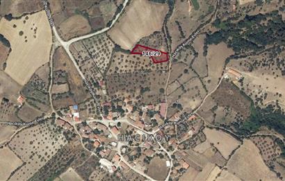 ÇANAKKALE BAYRAMİÇ HACIKÖY'DE 1478.43 M2 SATILIK ARSA