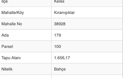 C21 NOVO'DAN BURSA KELES'TE SATILIK BAHÇE