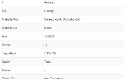 GÖLBAŞI, GÖKÇEHÖYÜK' TE GÖLE 200 MT. SATILIK 7.153 M2 TARLA