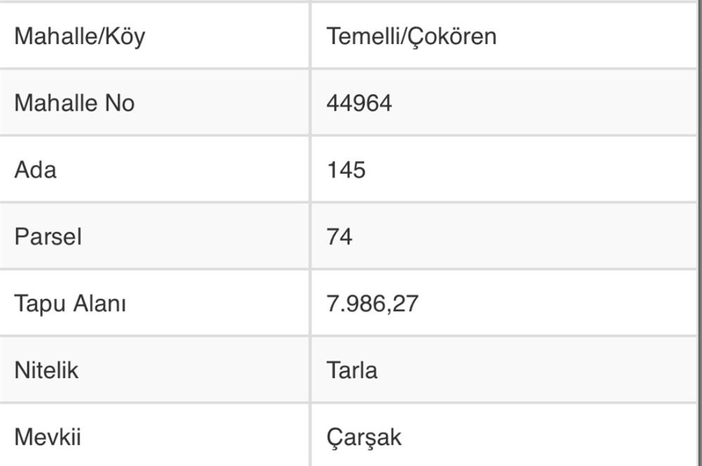 TEMELLİ ÇOKÖREN YATIRIMLIK ARSA 