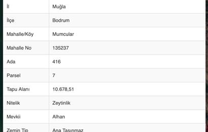 Mumcular'da 3.335 m2 Yerleşim yerlerine yakın Satılık zeytinlik 